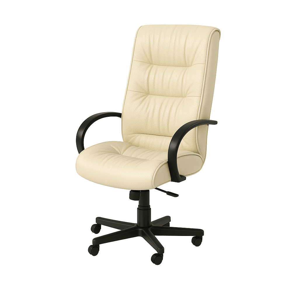 Scaun birou ergonomic | model BIG STAR P - eScaun.ro