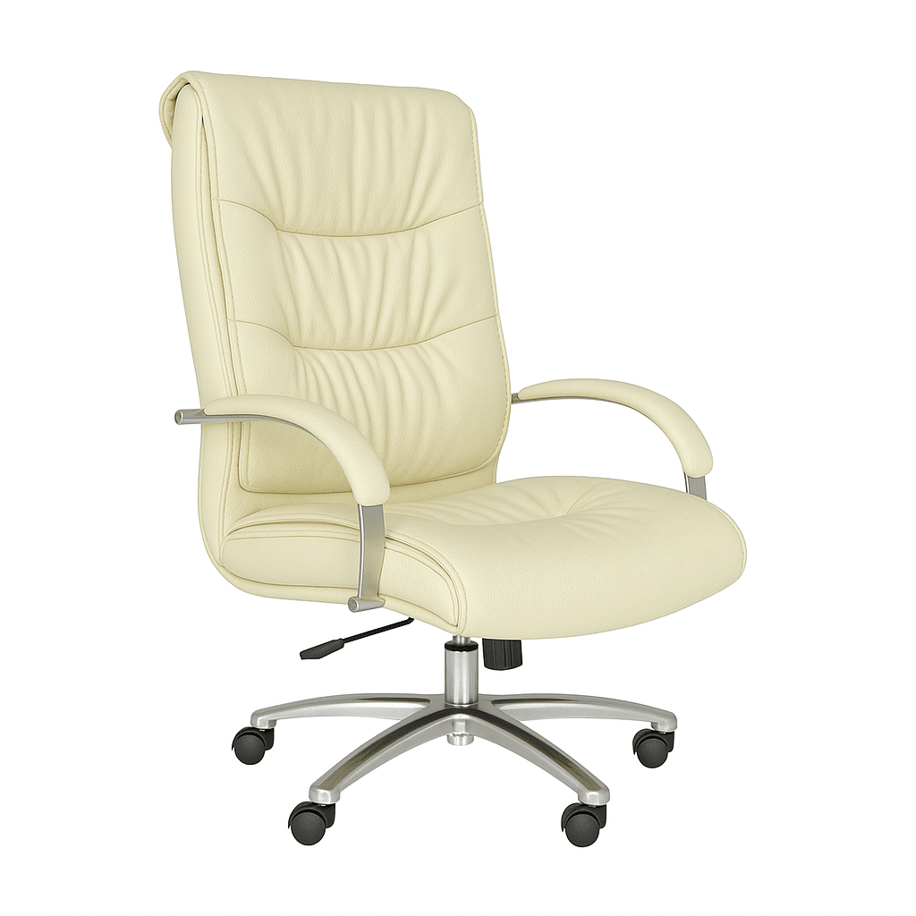 Scaun birou | model BIG STAR P - eScaun.ro