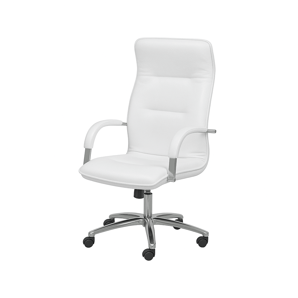 Scaun birou | model OMEGA P - eScaun.ro