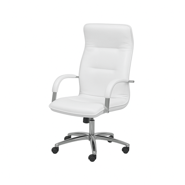 Scaun birou | model OMEGA P - eScaun.ro