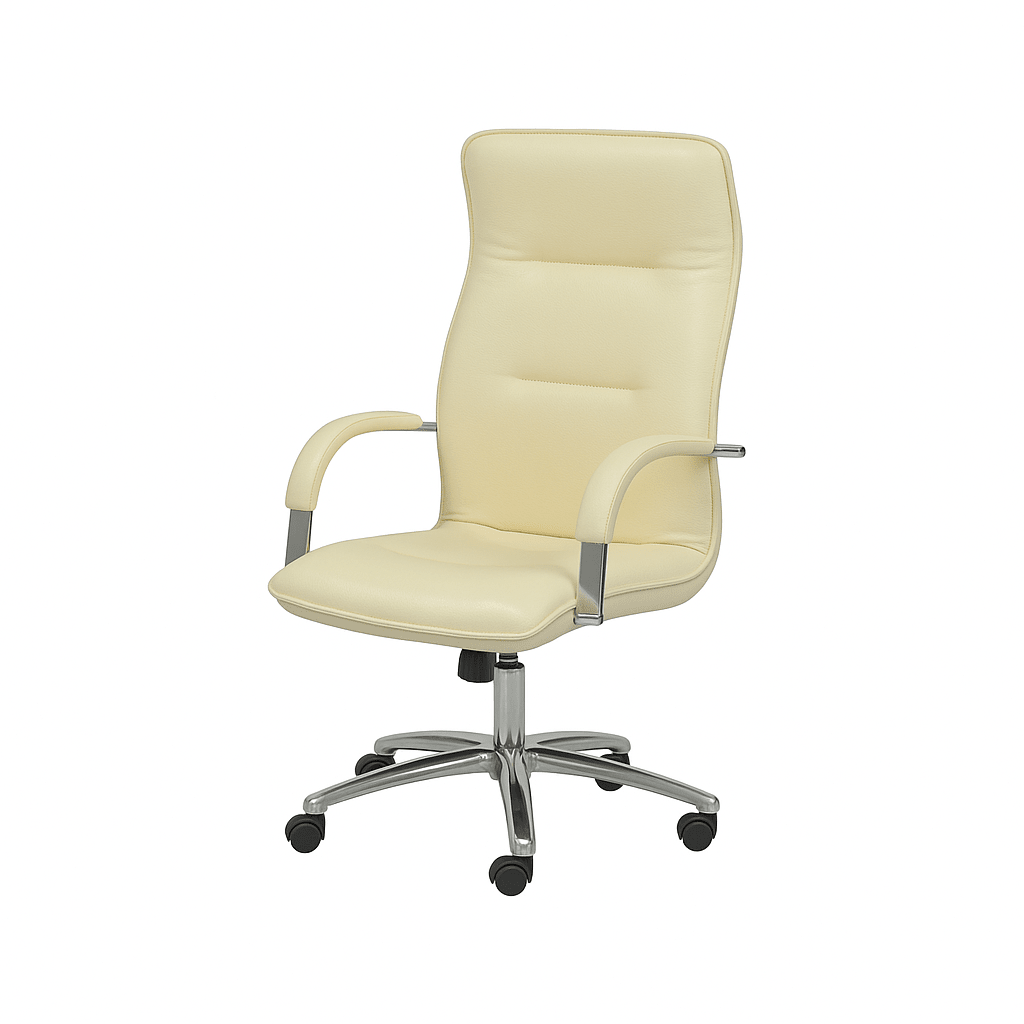 Scaun birou | model OMEGA P - eScaun.ro