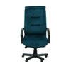 Scaun ergonomic | model BIG STAR P - eScaun.ro