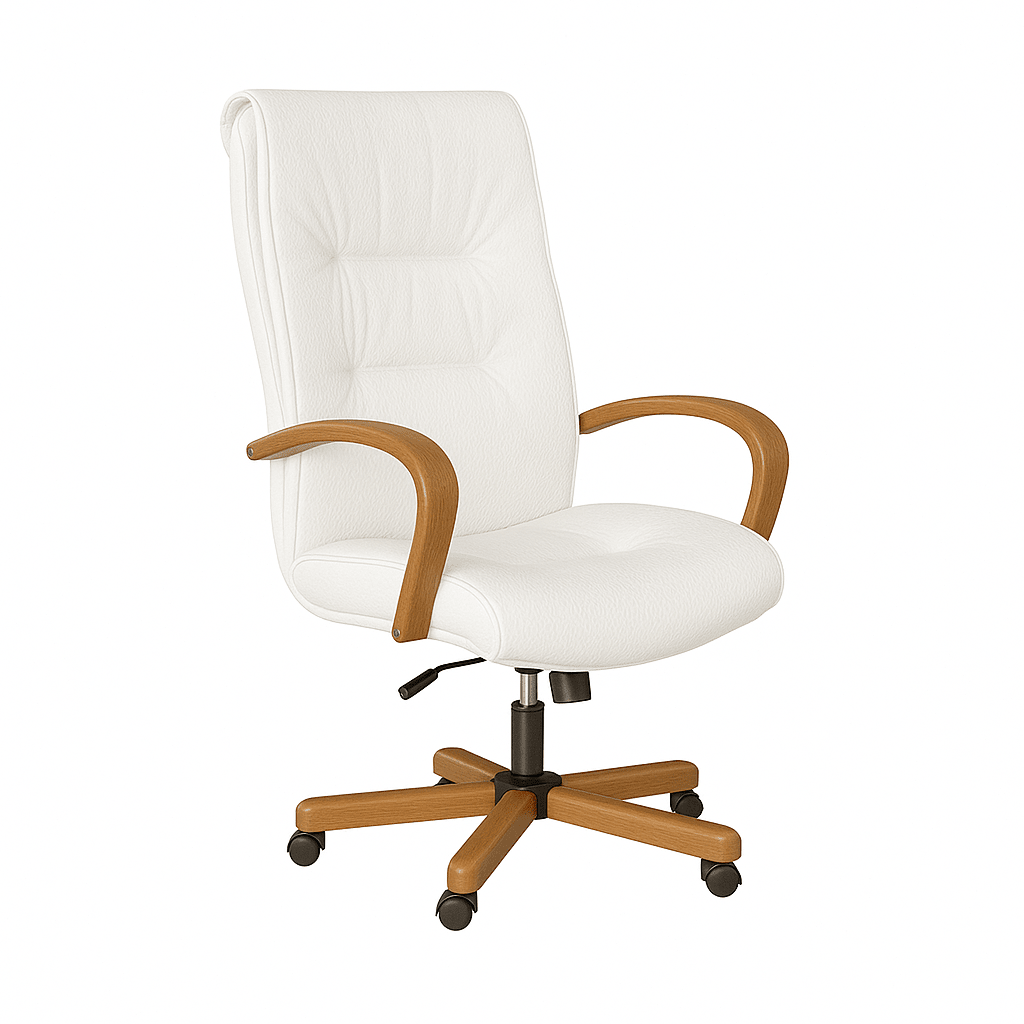 Scaun ergonomic | model BIG STAR P - eScaun.ro