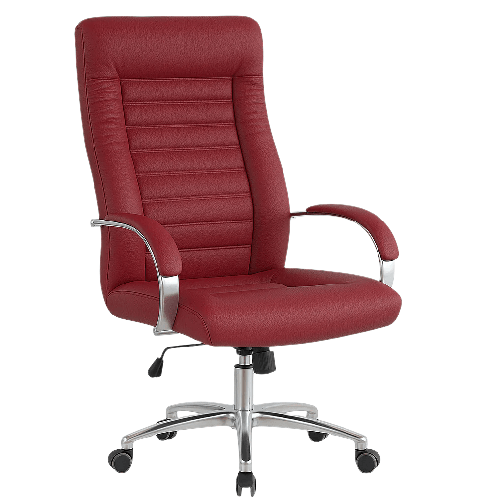 Scaun ergonomic | model DALIA P - eScaun.ro
