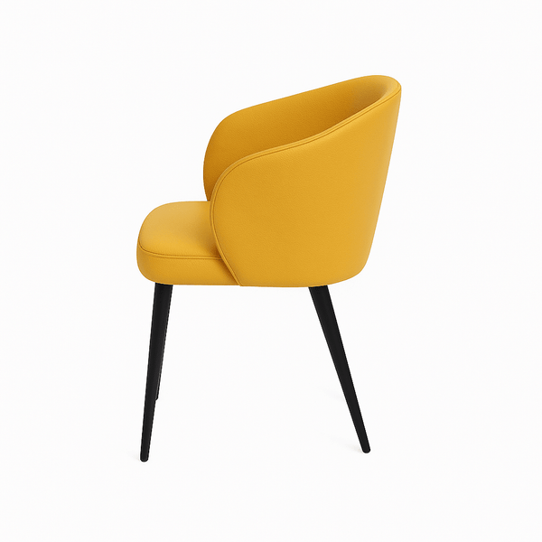 Scaun | model CAPRISO - eScaun.ro
